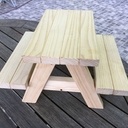 Table de Pique-nique pour Ecureuil