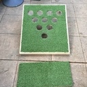 Golf Pong