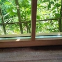 Une fenêtre en chêne