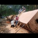 Petit bijou de technologie pour le bois