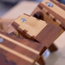 3 chiens qui éclairent.