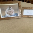 Cadres en bois de récup