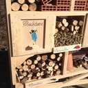 La maison aux insectes