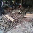 Autour du bûcheronnage