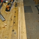 Chêne et insert châtaignier, hêtre échauffé ,camphrier de la Réunion , et platane