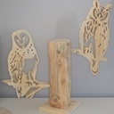 La Chouette n'effraie pas le moyen duc