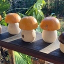 Champignons « pomme d’or »