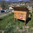 Poulailler en palettes