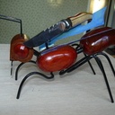 La fourmi Porteuse .....