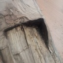 Un tronc dans un tronc