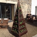 Fontaine de fraisiers