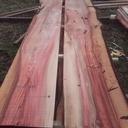 La nature fait bien les choses