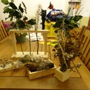 Décoration d'automne