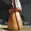 Une "petite" morille