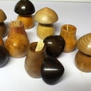 Champignons porte cure-dents