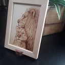 Le lion et la lionne