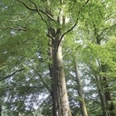 Chaise pas si relax (beta)