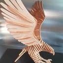 Aigle (photos remplacées)