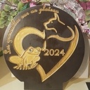 Trophées  canicross