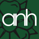 anh