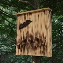 Nichoir chauve souris