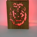 Lion LEDs RGBWW wifi