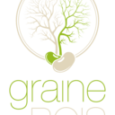 Graine de Bois