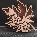 Colibri sur feuille d'érable