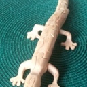 Gecko