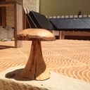 Un beau champignon sculpté