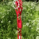 Tic Tac de printemps