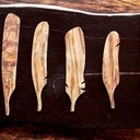 Plumes, elles coulent ...