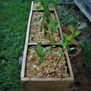 Jardinière de rempotage ni clou ni vis ni colle.