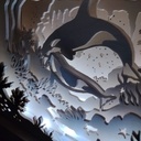 Light box animaux marins.