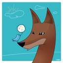 Coyote dessiné sur fond turquoise