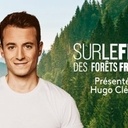 Sur le front des Forêts Françaises