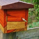 Petite tirelire d'extérieur.