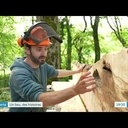 Reportage sur l'atelier daiku - élagage, scierie mobile, menuiserie
