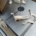 Transpaletteosorus (animal 3D)