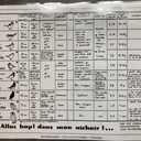 Plus qu’un nid, un nichoir!