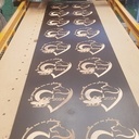 Trophées  canicross