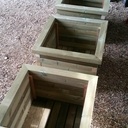 Bac pour laurier rose