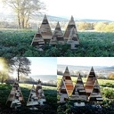 Sapins de Hiver en bois de recuperation