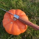 Opinel en bois de rose et rosier