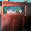 Meuble aquarium