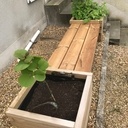 Le banc kiwi-framboise