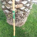 Baton de marche l'Irlandais