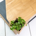 Table basse robinier et rideau bois