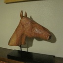 Tête de cheval