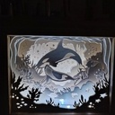 Light box animaux marins.